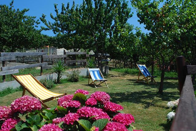 Agriturismo Terra e Cielo Serra Rocco Exterior foto